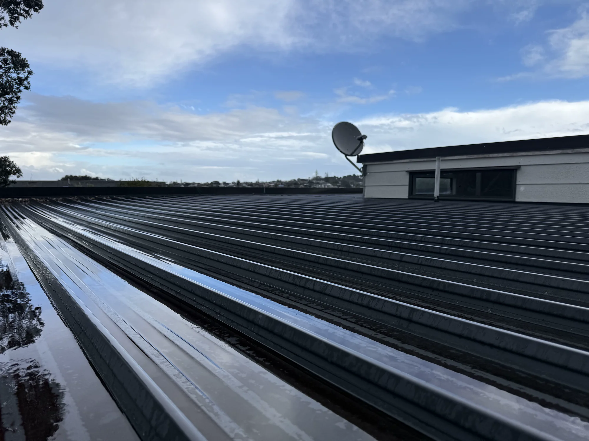 Scarborough Tce Renovation - Tui Builders Auckland