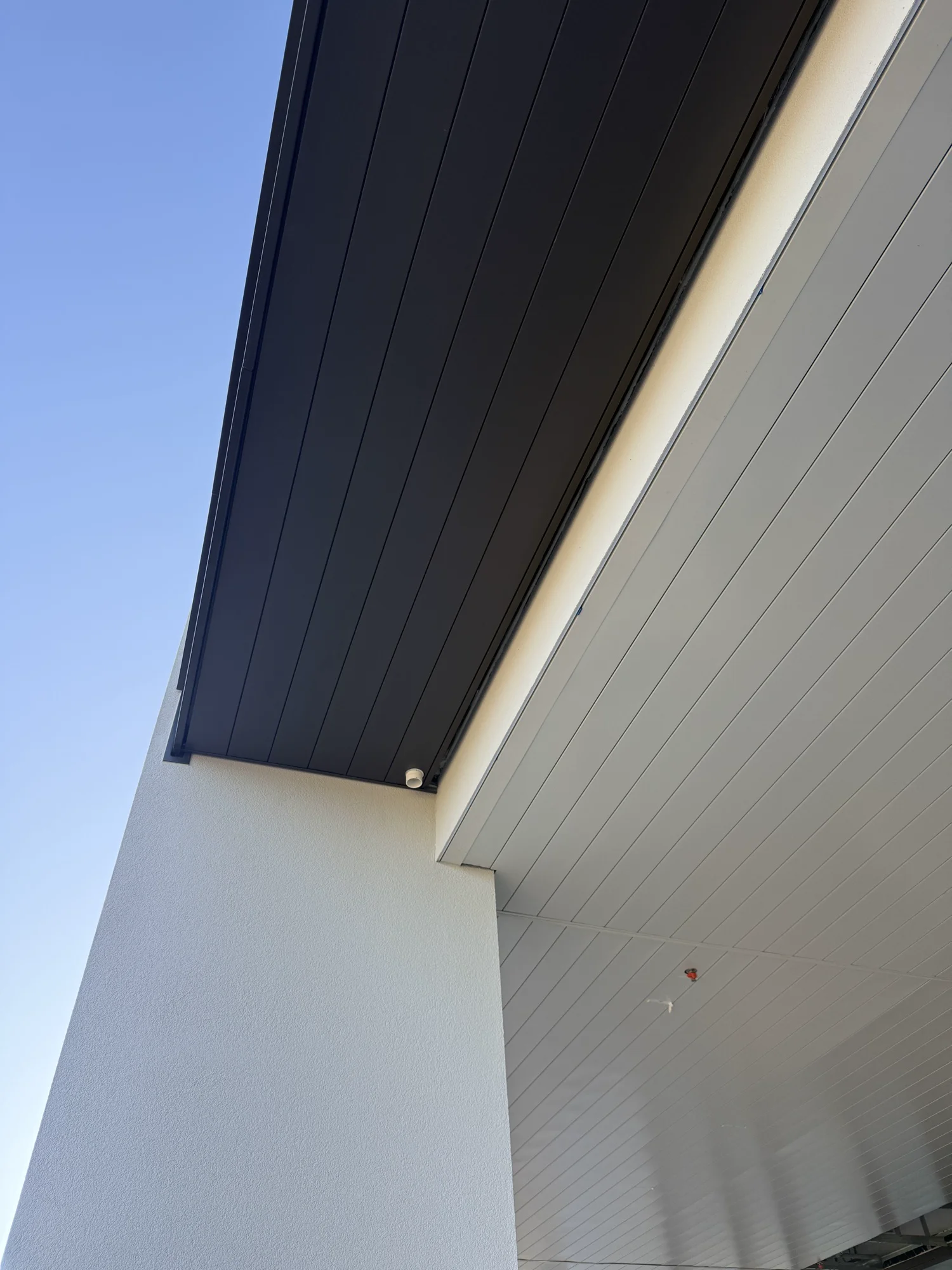 Ribon Commercial - Tui Builders Auckland